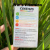 Centrum Kids Strawberry